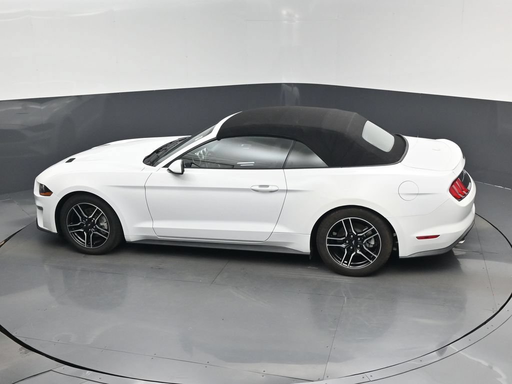Used 2023 Ford Mustang Premium RWD image 14