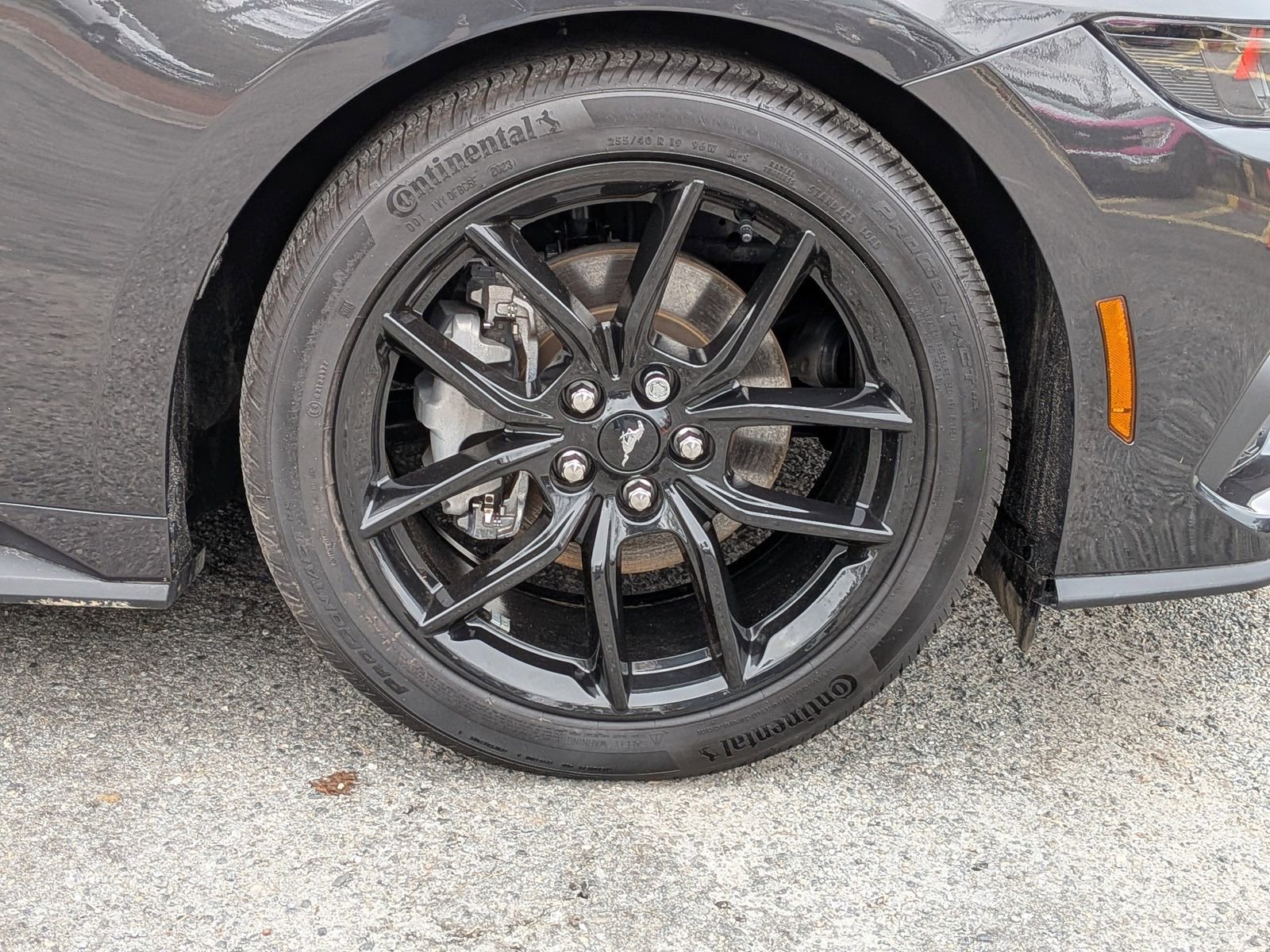 Certified 2024 Ford Mustang Premium image 11