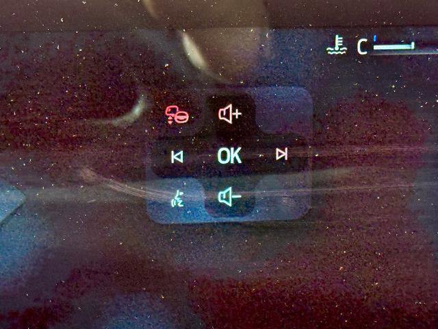 Certified 2025 Ford Expedition Active image 30