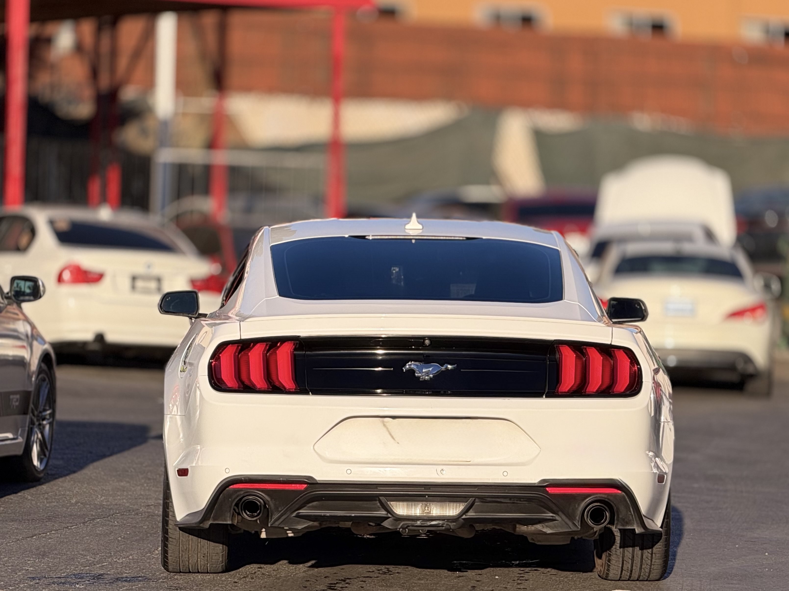 Used 2021 Ford Mustang Premium RWD image 7