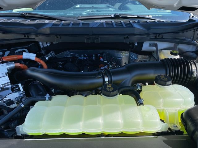 New 2025 Ford F150 XLT image 15