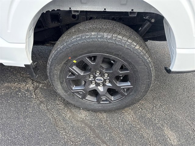 New 2026 Ford F150 STX w/ Equipment Group 200A image 14