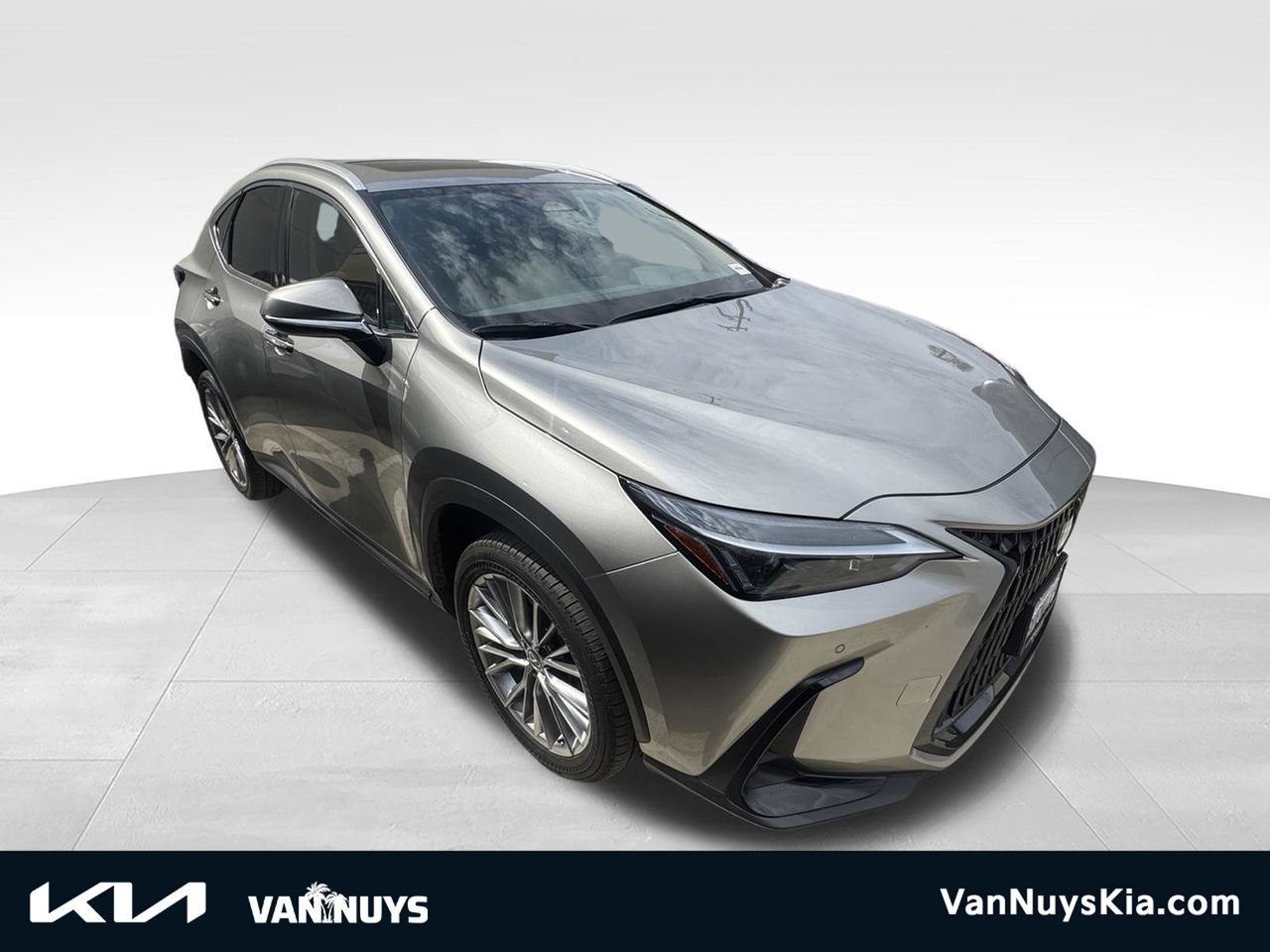 Used 2025 Lexus NX 350h AWD w/ Cold Area Package