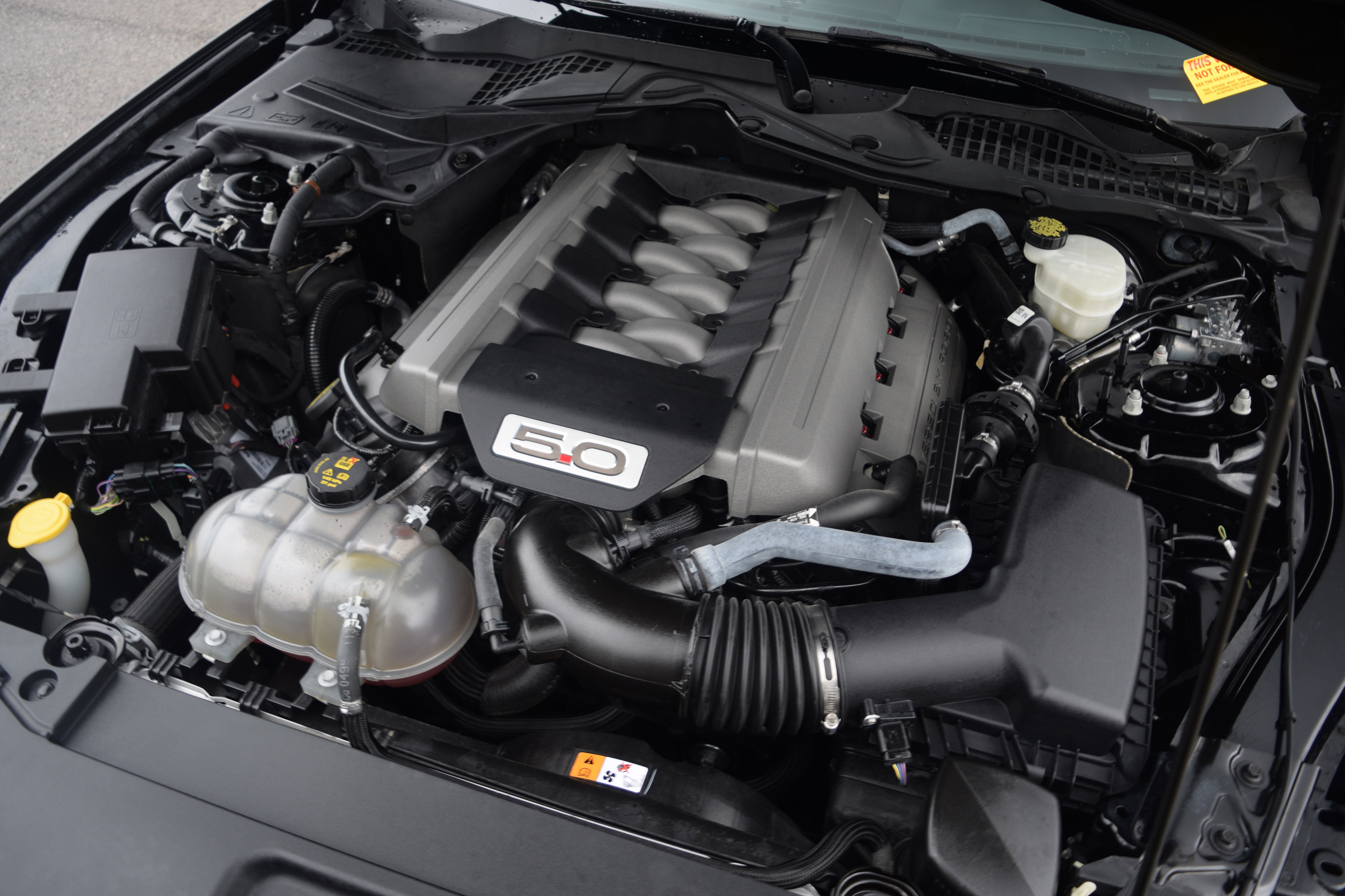 Used 2015 Ford Mustang GT Premium w/ Equipment Group 401A image 19