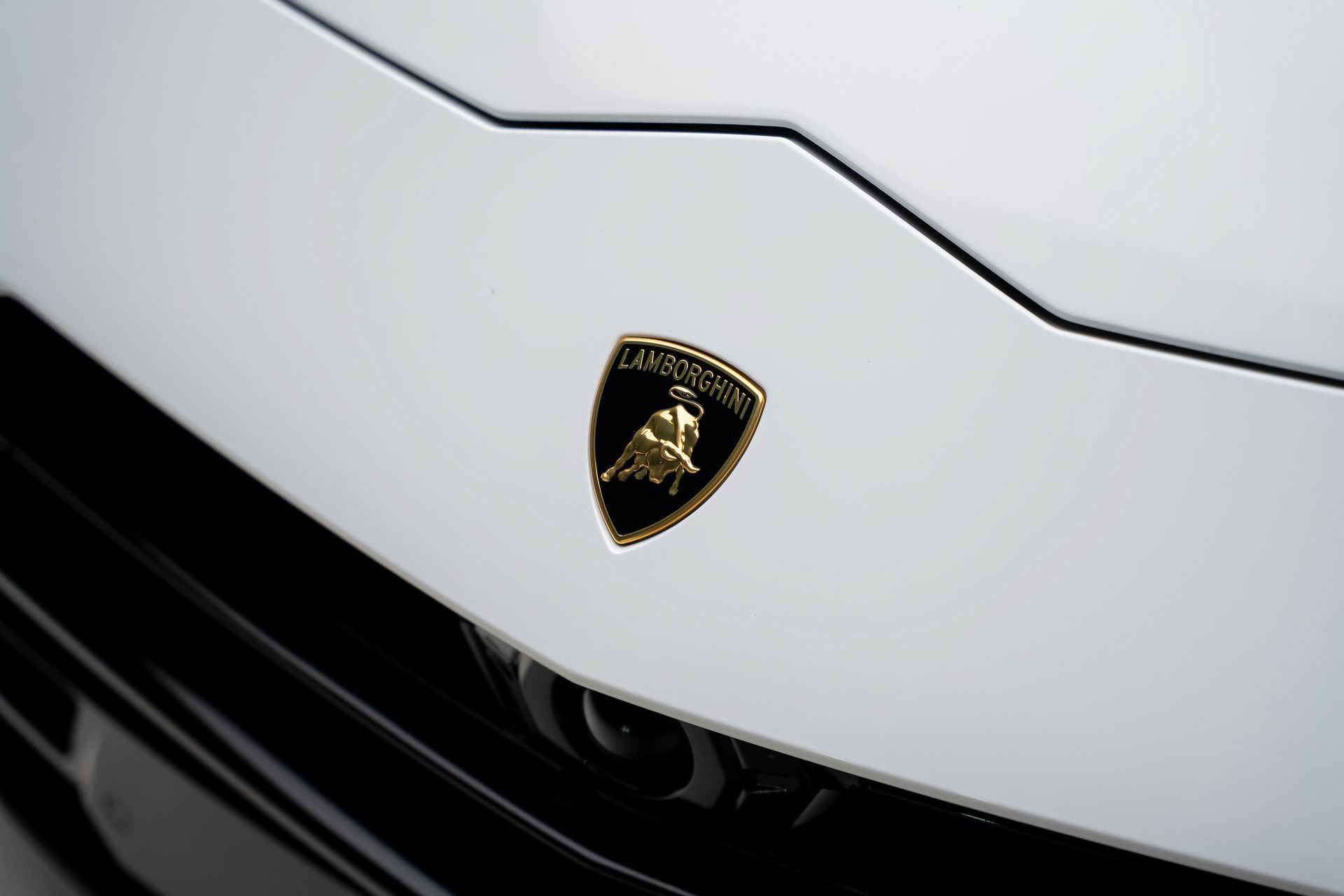 Used 2024 Lamborghini Urus S AWD/4WD image 13