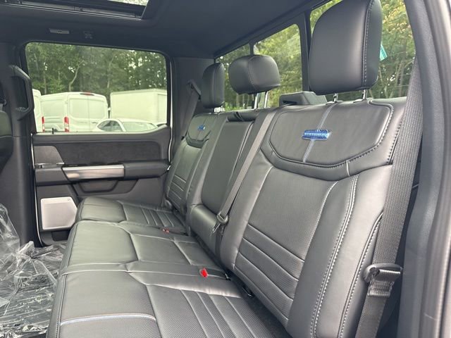 New 2025 Ford F250 Platinum w/ FX4 Off-Road Package image 22