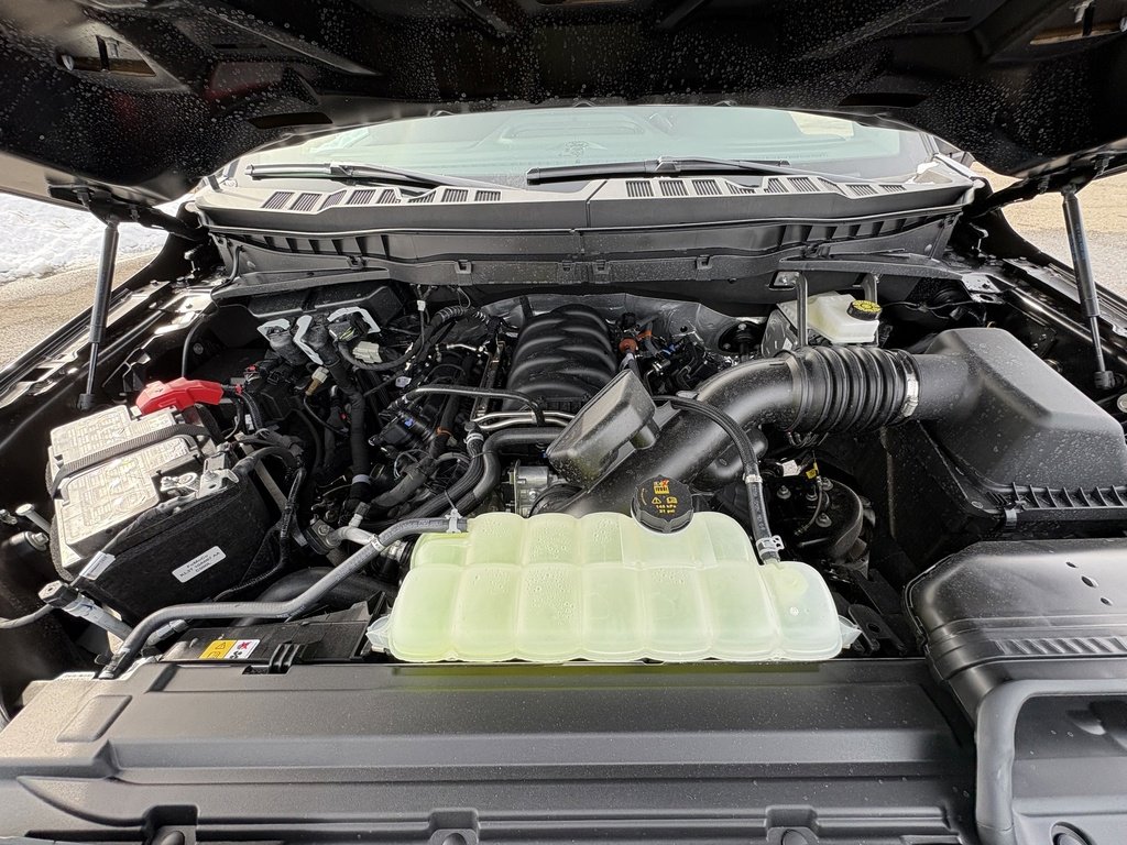 New 2026 Ford F150 STX w/ F-150 LOBO Package image 14