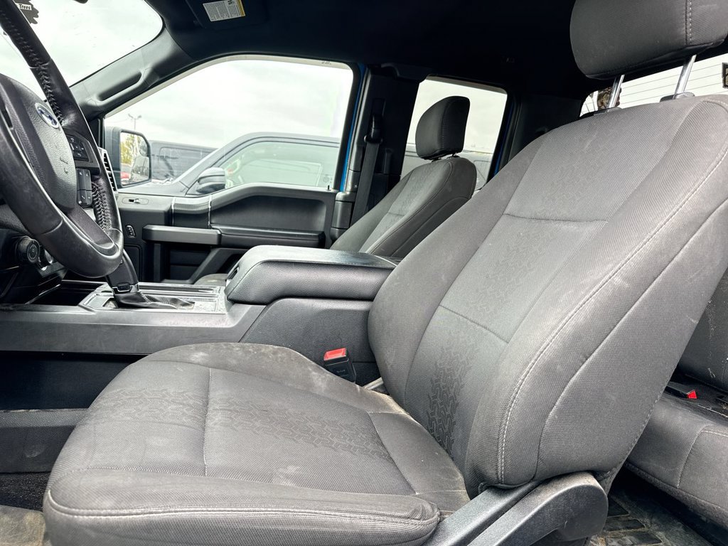 Used 2019 Ford F150 XLT w/ Equipment Group 301A Mid AWD/4WD image 10