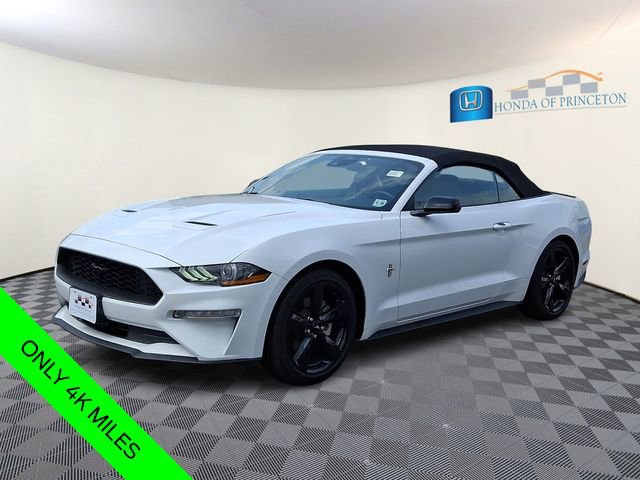 Used 2023 Ford Mustang Premium w/ Equipment Group 201A image 4