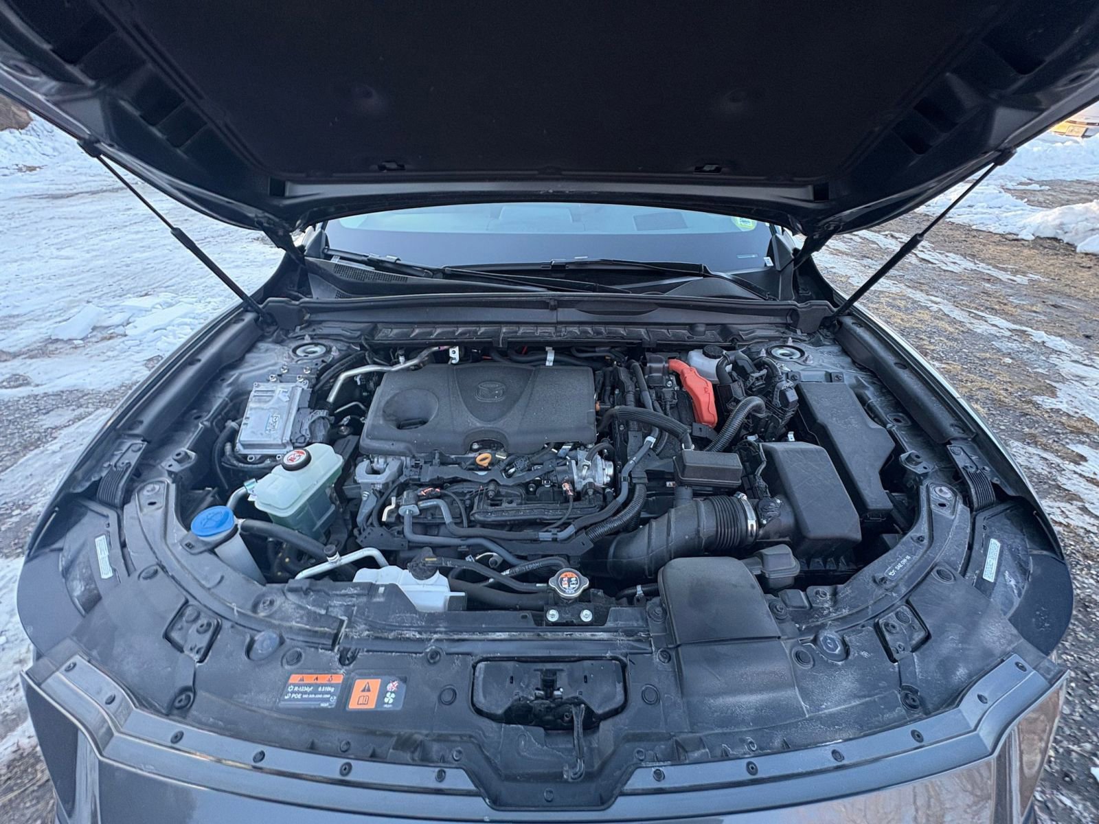 Used 2025 MAZDA CX-50 2.5 Hybrid w/ Premium Plus Pkg image 30