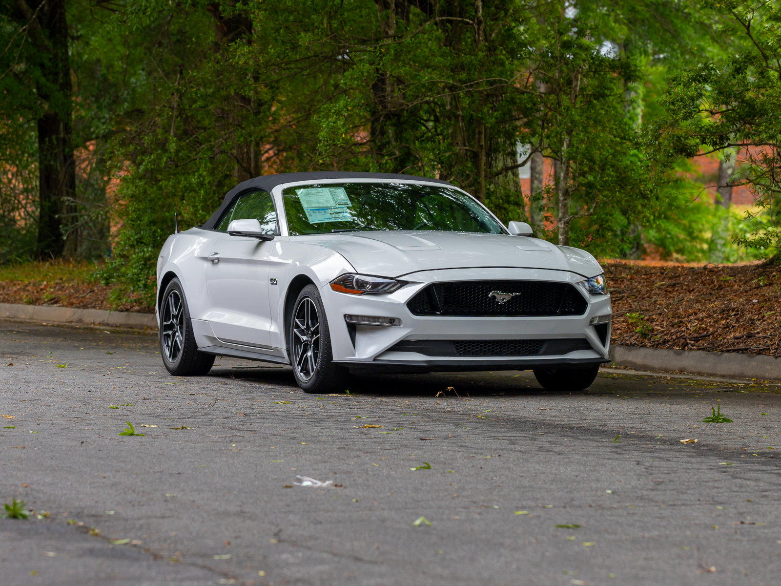 Used 2019 Ford Mustang GT Premium w/ Equipment Group 401A RWD image 43