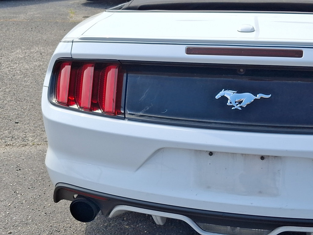 Used 2015 Ford Mustang Premium RWD image 15