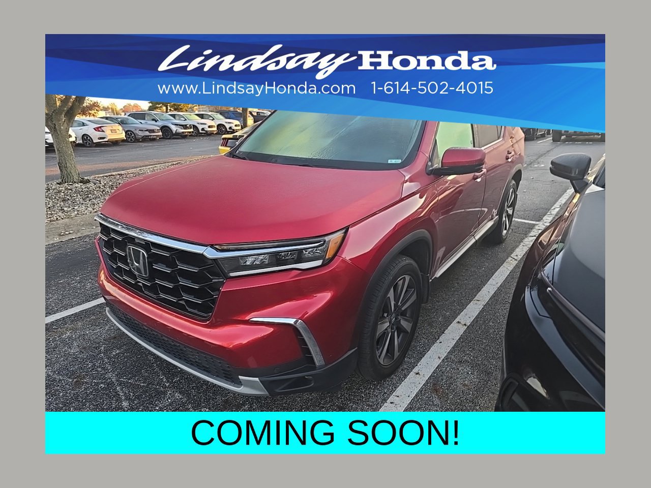 Used 2025 Honda Pilot Touring image 1