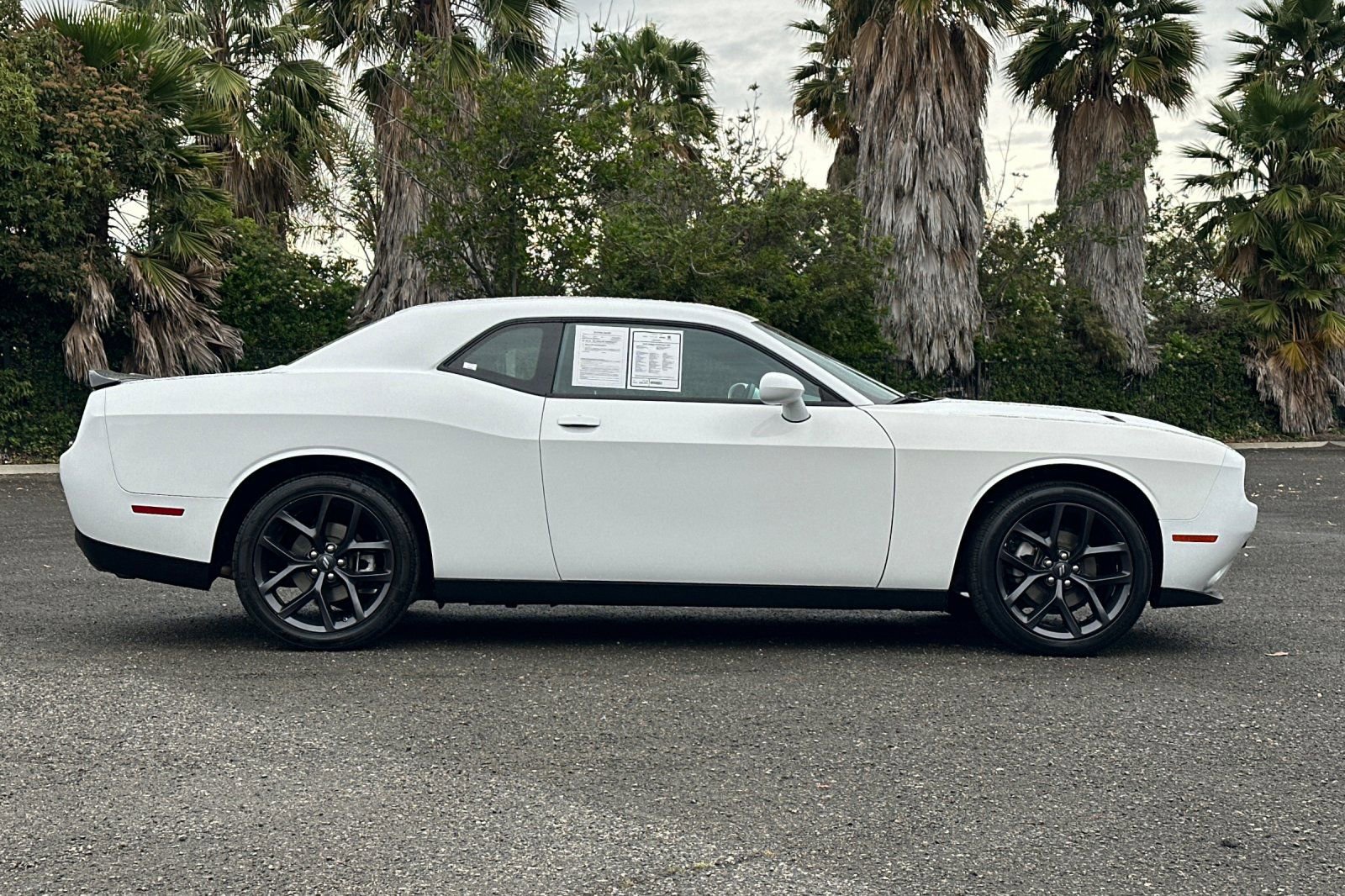 Used 2022 Dodge Challenger SXT w/ Blacktop Package image 2