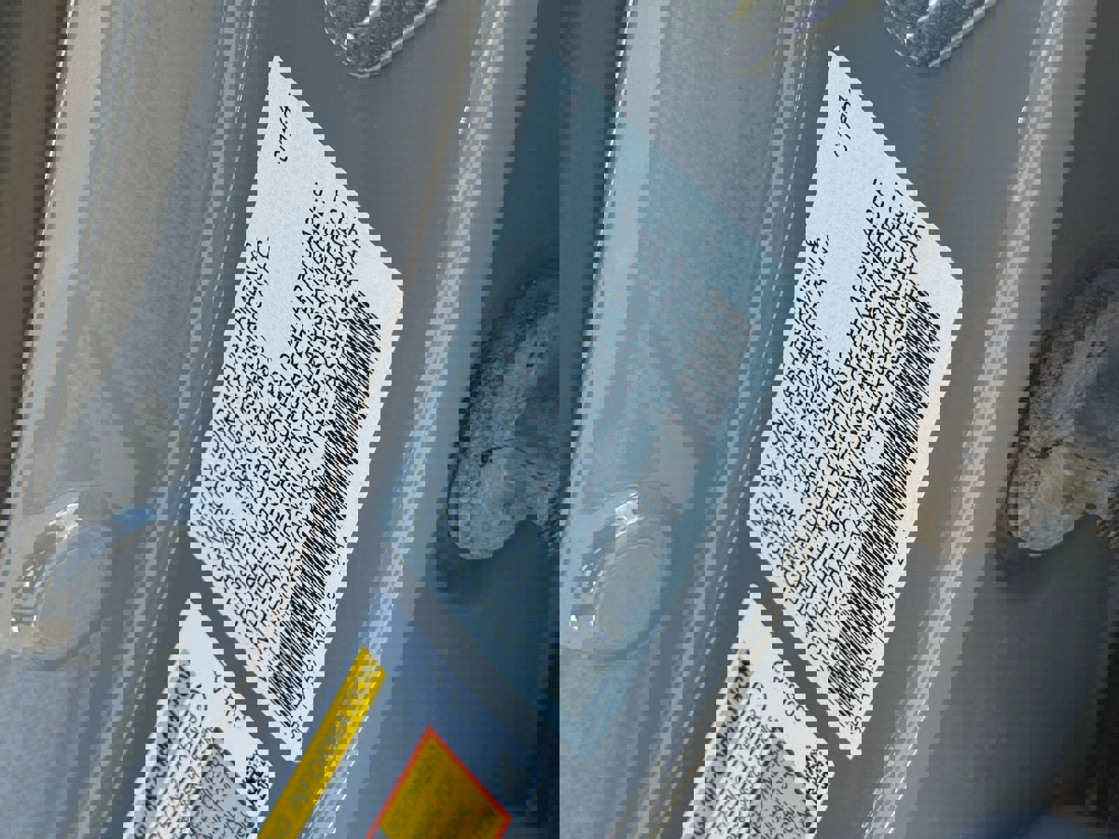 Used 2024 Honda Accord Sport image 36