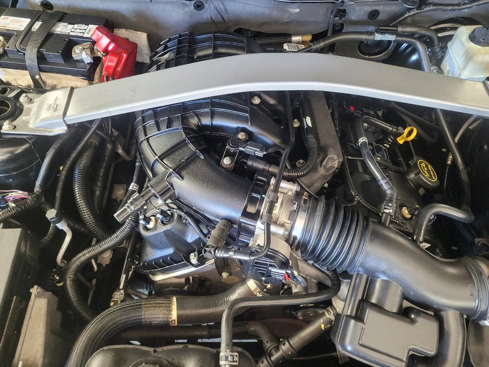 Used 2014 Ford Mustang Premium RWD image 30