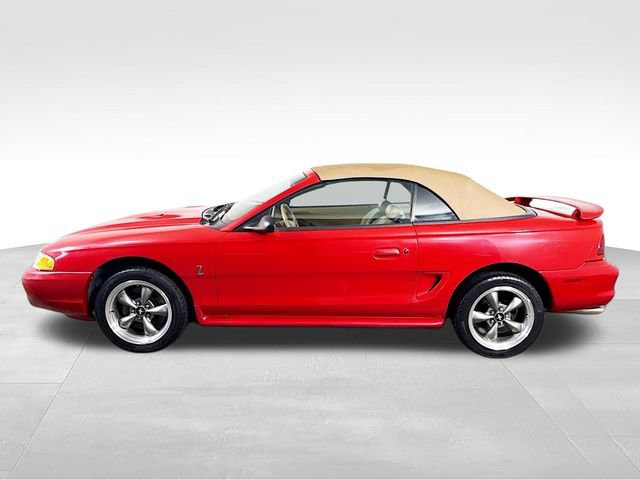 Used 1997 Ford Mustang Cobra RWD image 8