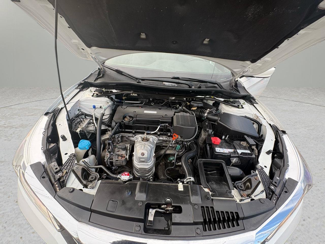 Used 2017 Honda Accord Sport Special Edition image 42