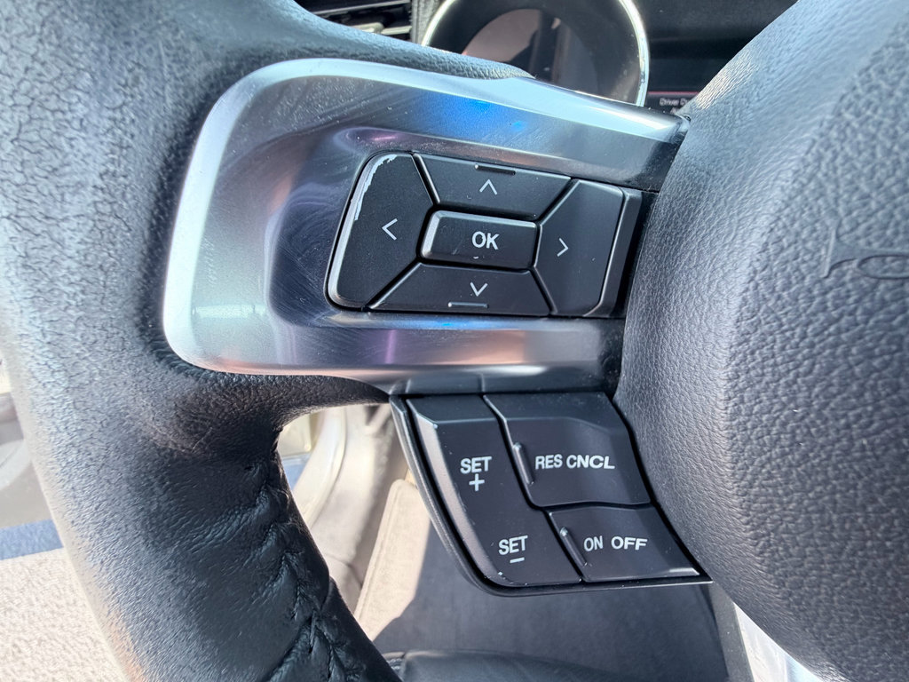 Used 2017 Ford Mustang Premium RWD image 19