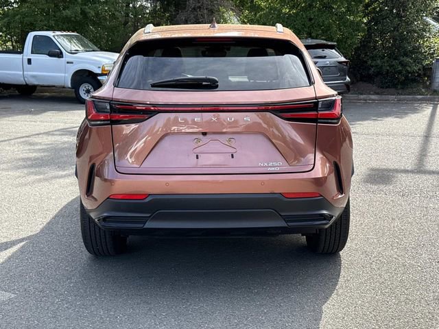 Used 2025 Lexus NX 250 AWD w/ Accessory Package (2T) image 3