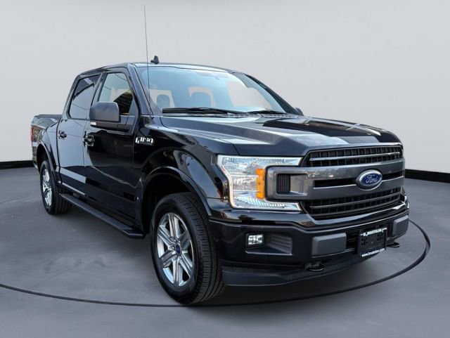 Used 2019 Ford F150 XLT w/ Equipment Group 302A Luxury image 2
