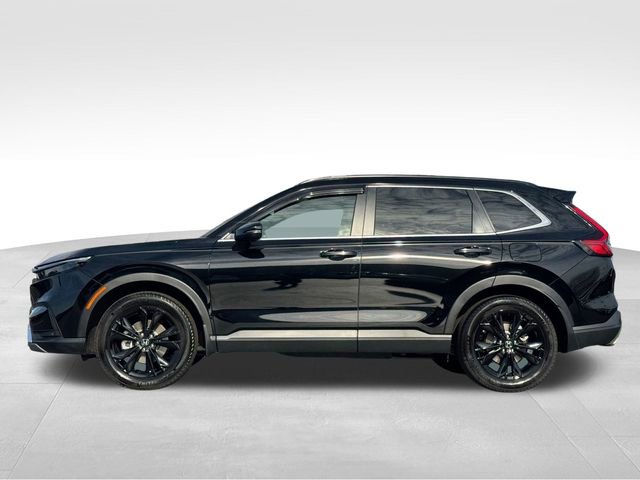 Used 2025 Honda CR-V Sport Touring image 7