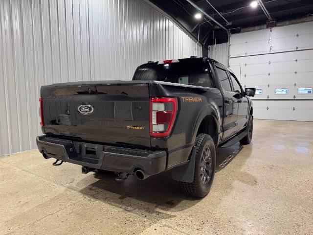 Used 2022 Ford F150 Tremor w/ Equipment Group 402A High AWD/4WD image 8