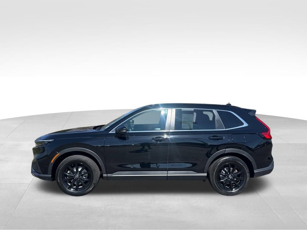Certified 2024 Honda CR-V Sport-L image 8