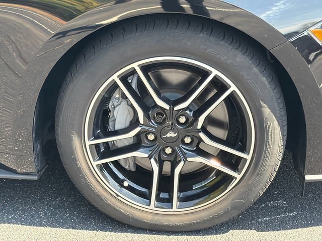 Used 2022 Ford Mustang GT Premium w/ Equipment Group 401A RWD image 13