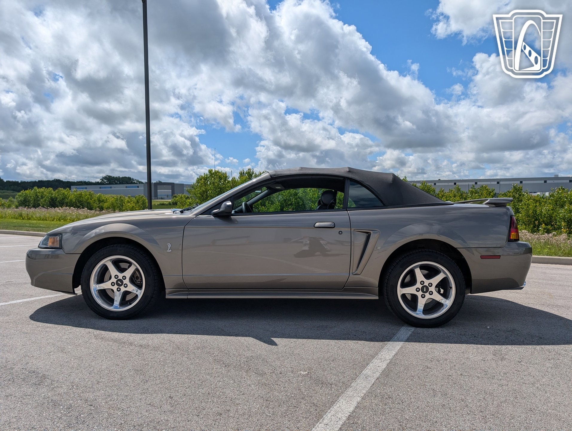 Used 2001 Ford Mustang Cobra image 6