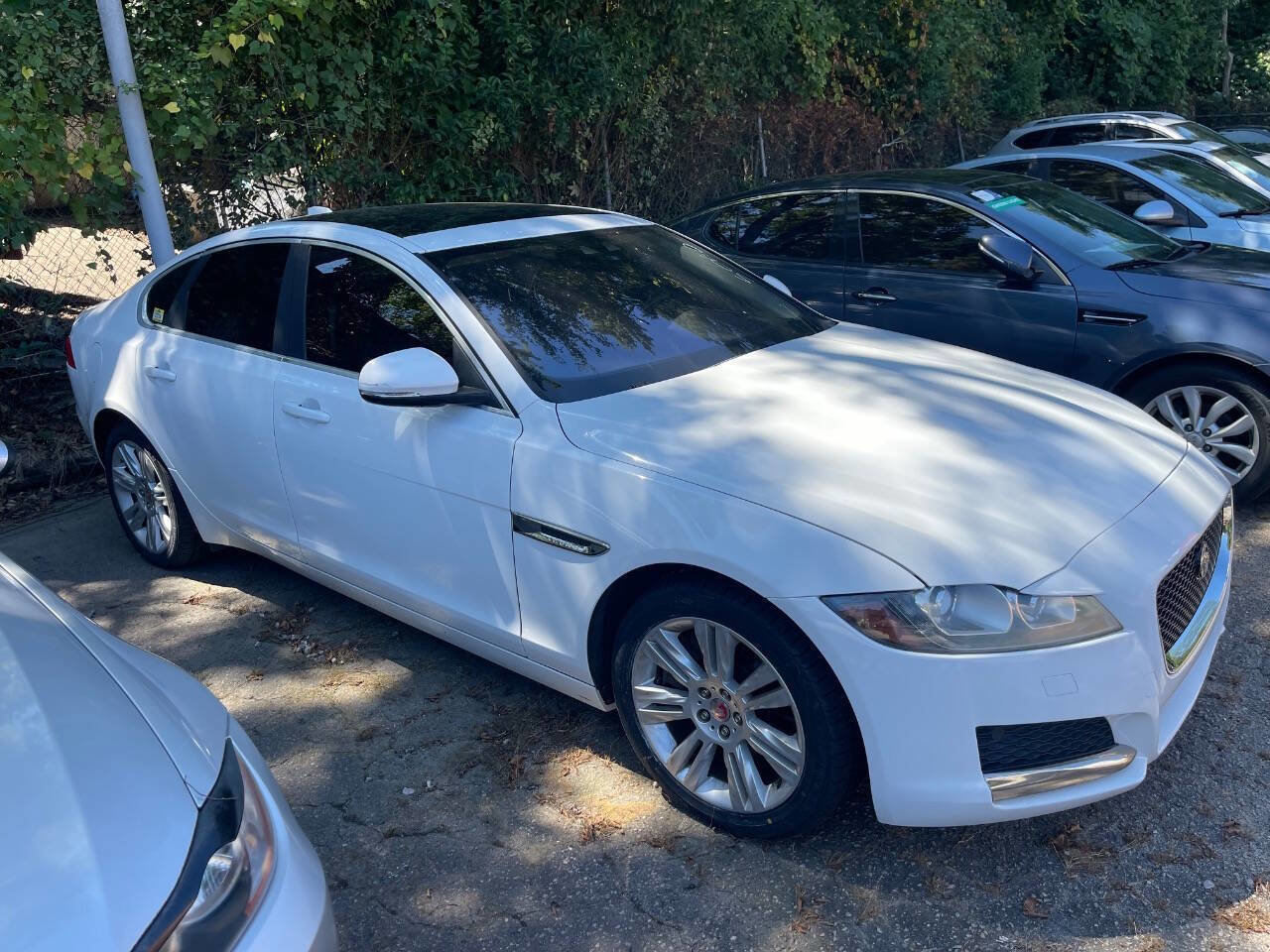 Used 2017 Jaguar XF Premium image 1