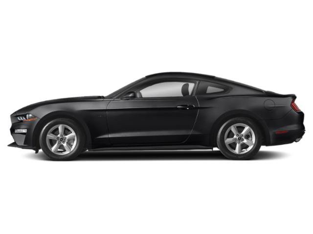 Used 2019 Ford Mustang Premium w/ Black Accent Package RWD image 3