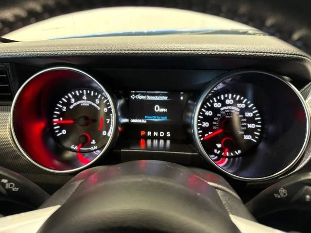 Used 2019 Ford Mustang EcoBoost w/ Equipment Group 101A image 16