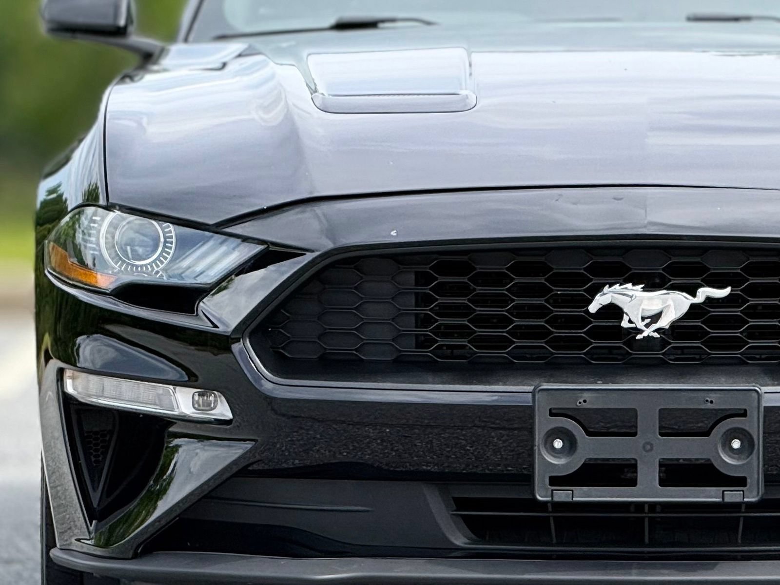 Used 2019 Ford Mustang Premium w/ Equipment Group 201A RWD image 14