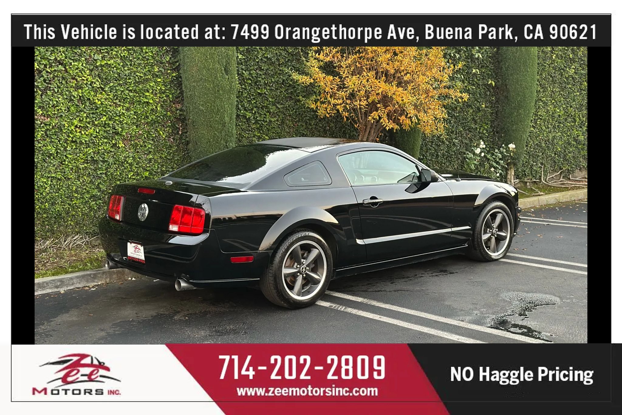 Used 2009 Ford Mustang GT Premium image 7