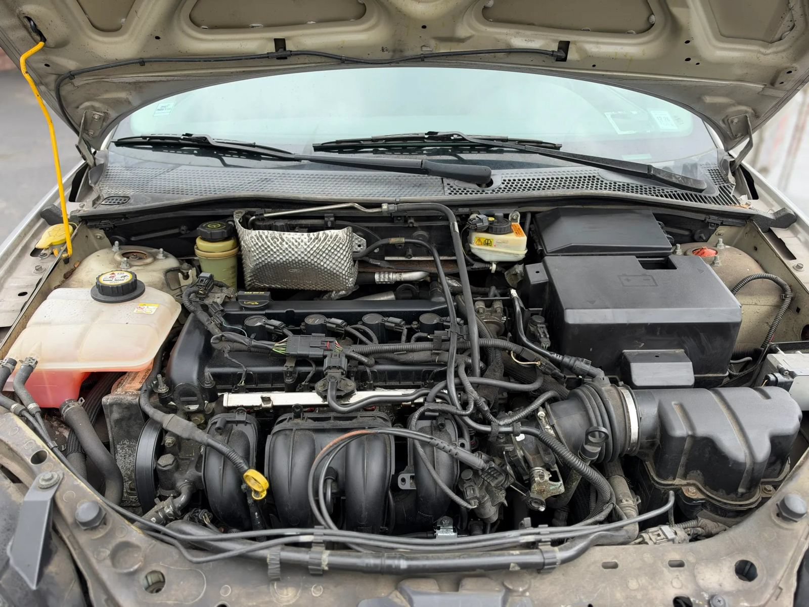 Used 2005 Ford Focus SES FWD image 15