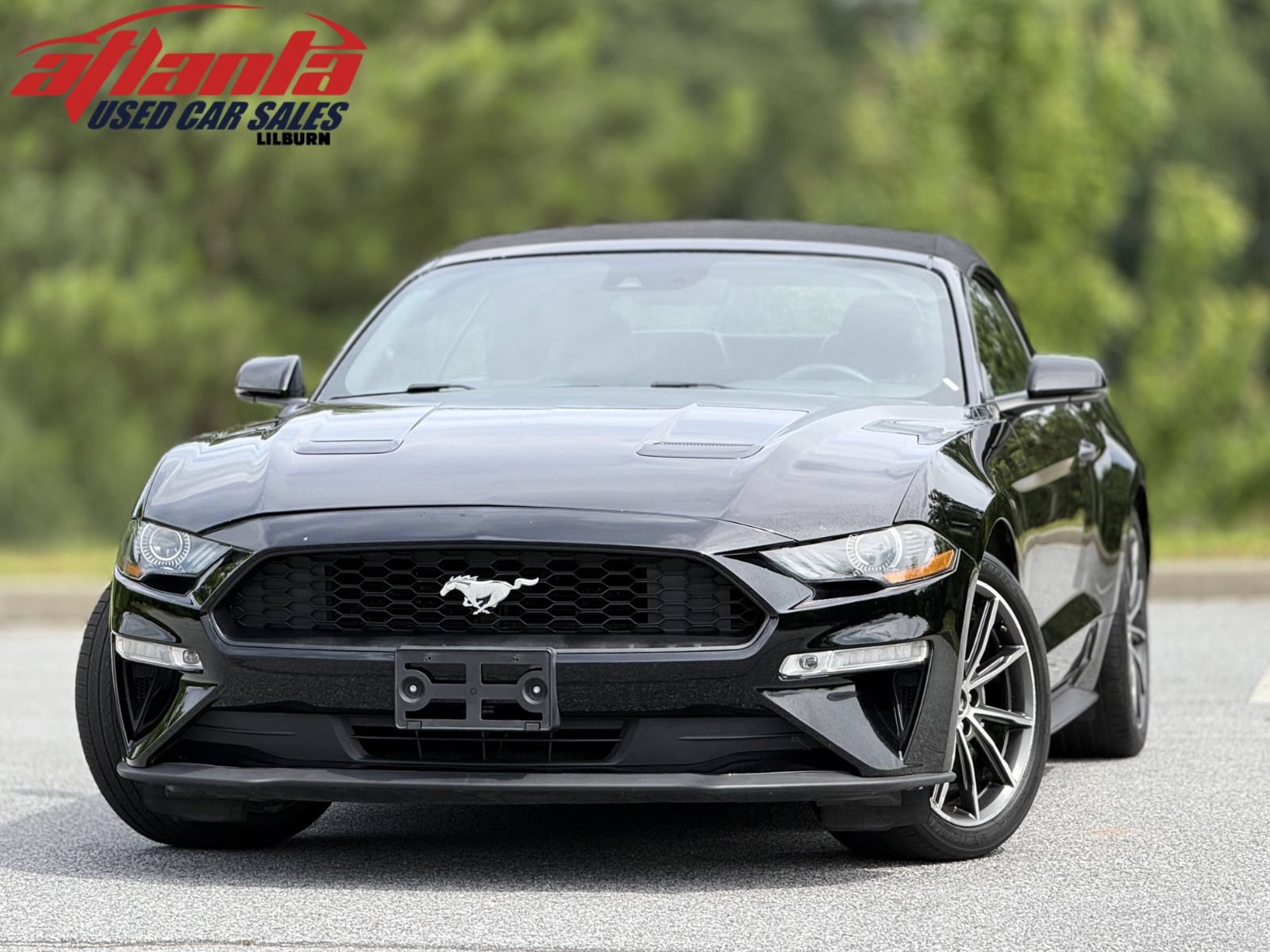 Used 2019 Ford Mustang Premium w/ Equipment Group 201A