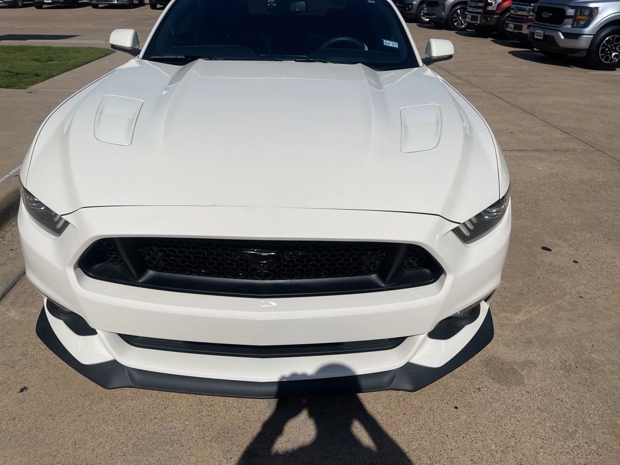 Used 2015 Ford Mustang 50 Years