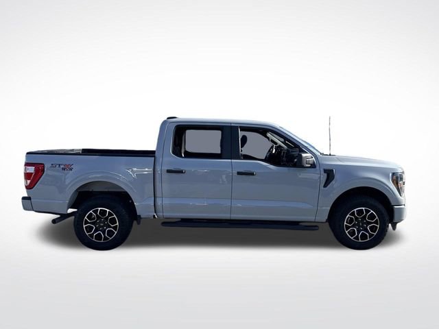 Used 2023 Ford F150 XL w/ XL STX Apperance Package image 7