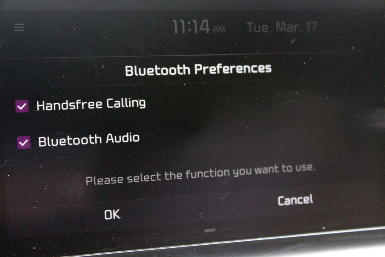 Used 2022 Kia Telluride SX w/ SX Prestige Package image 35