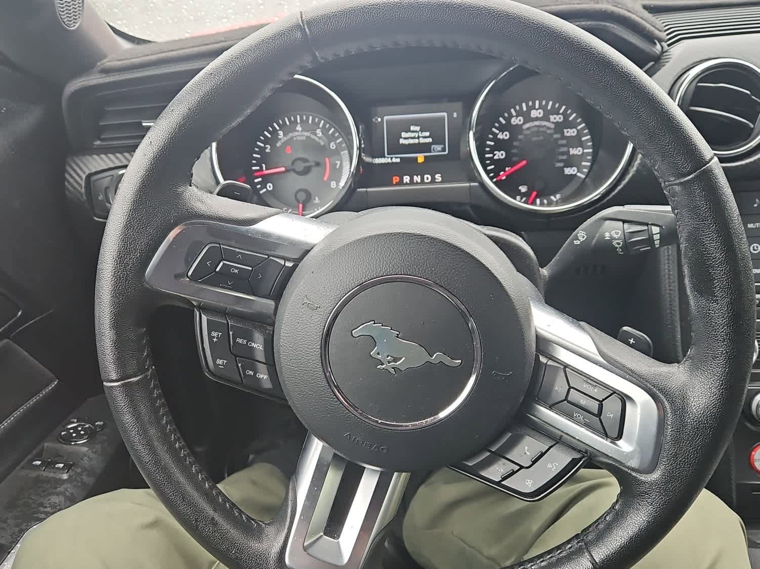 Used 2017 Ford Mustang Coupe w/ Enhanced Security Package RWD image 15