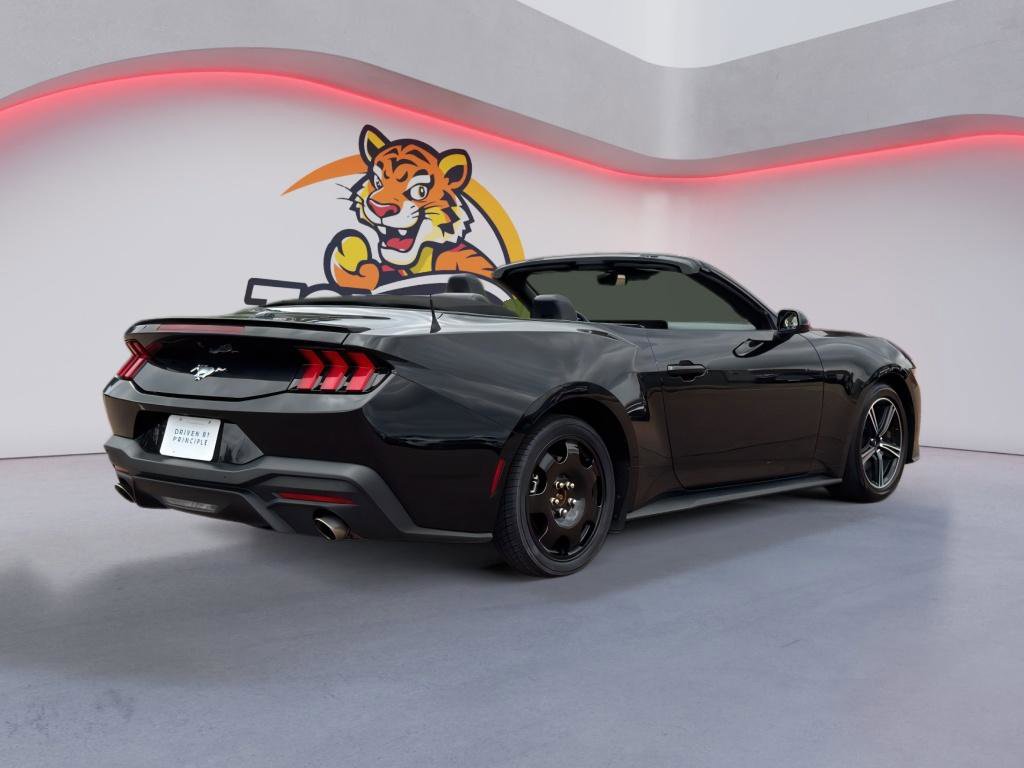 Used 2024 Ford Mustang Premium image 5