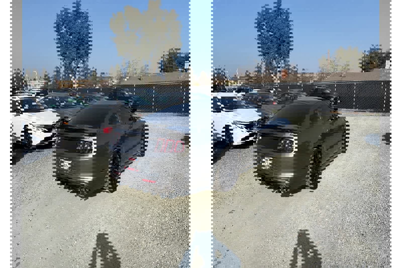 Used 2014 Ford Mustang GT Premium w/ Brembo Brake Package image 7