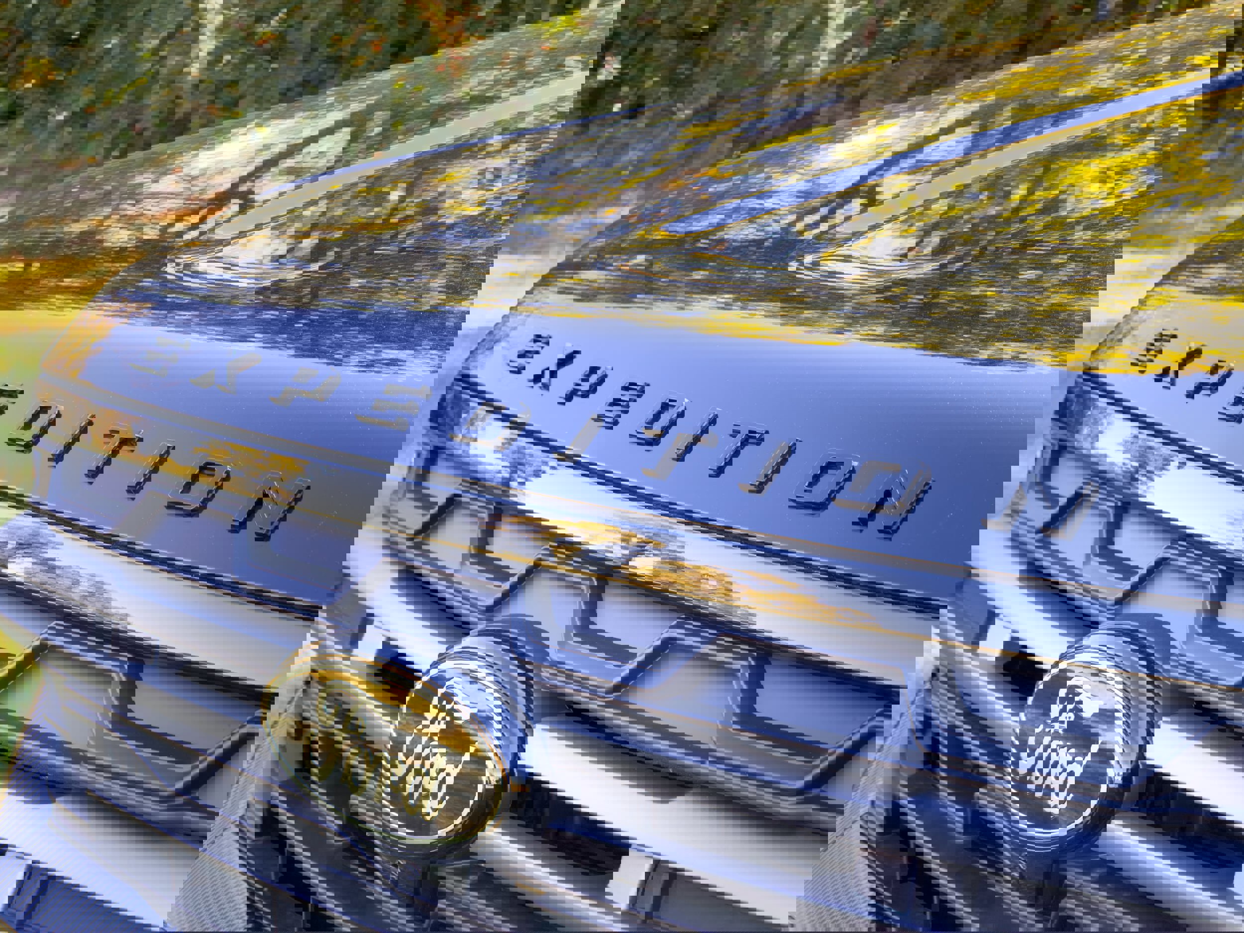 New 2025 Ford Expedition Tremor image 3