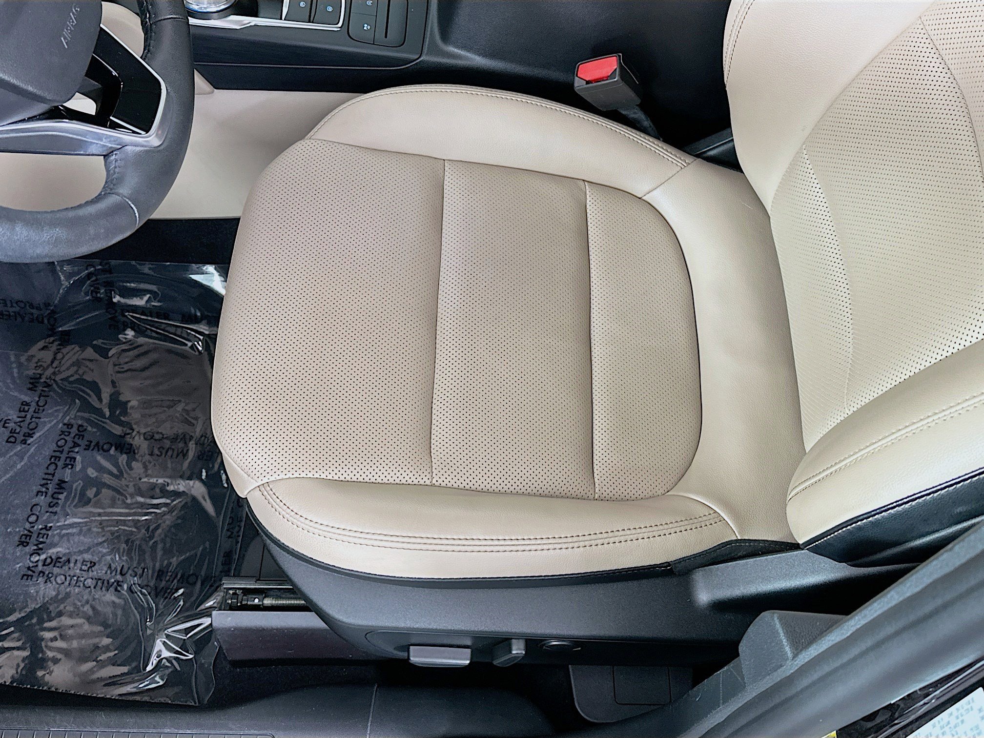 Used 2020 Ford Escape SEL image 20