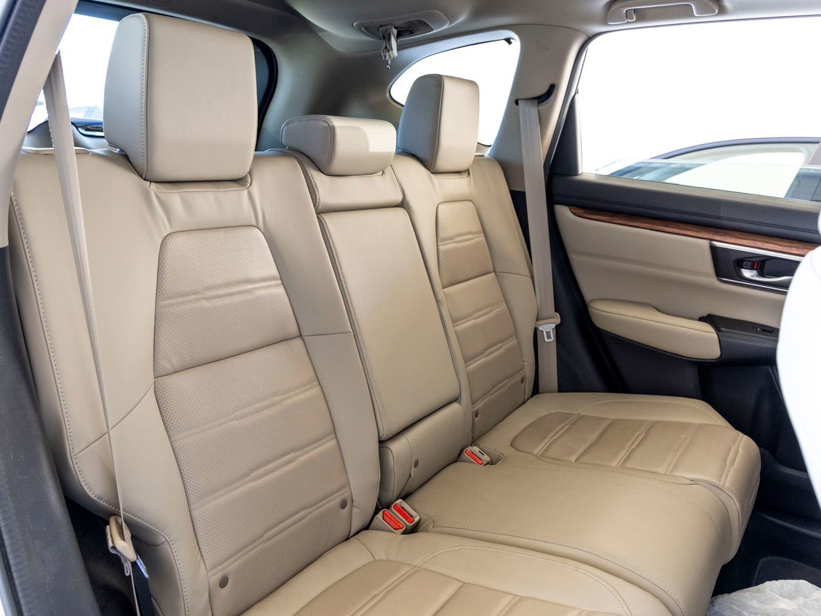 Used 2019 Honda CR-V EX-L image 24