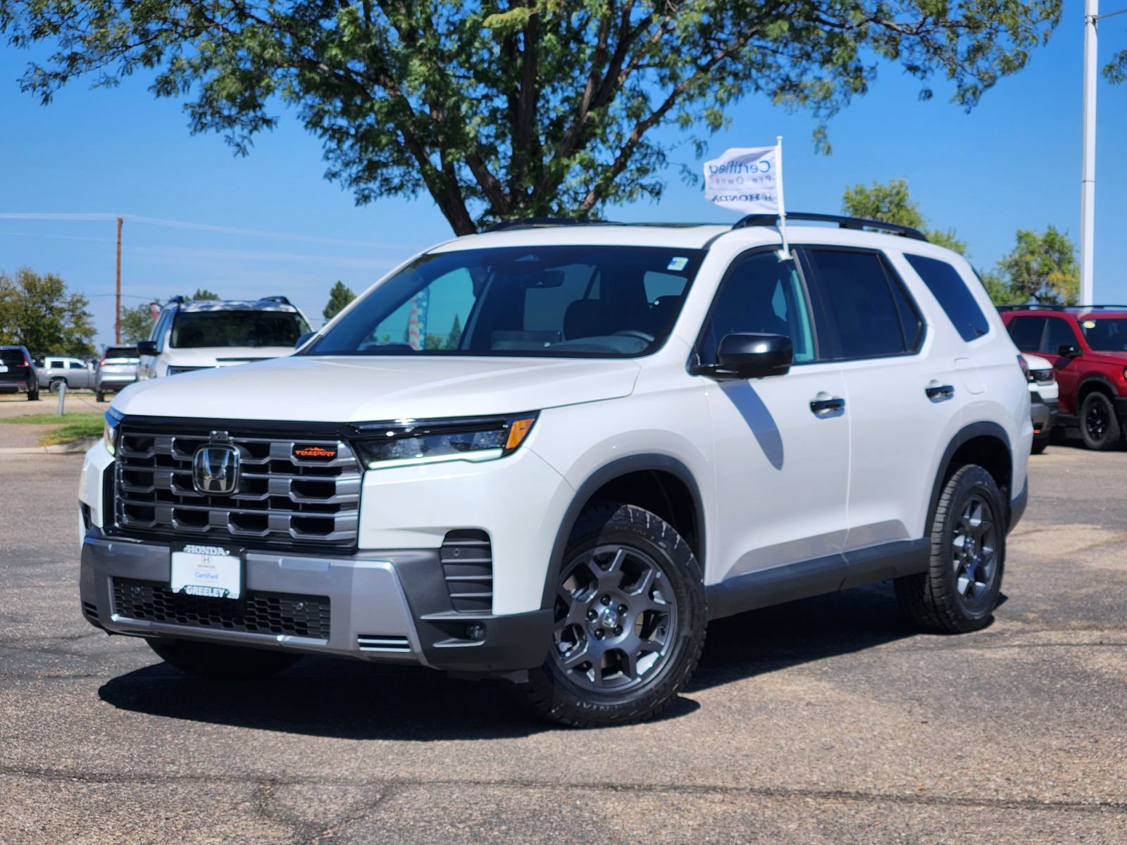 Certified 2026 Honda Pilot TrailSport