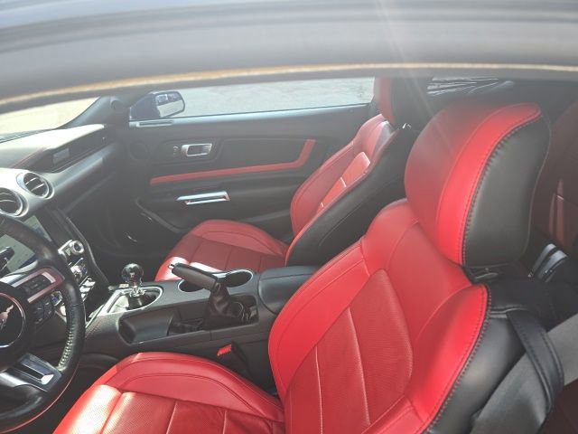 Used 2021 Ford Mustang GT Premium w/ Equipment Group 401A RWD image 8