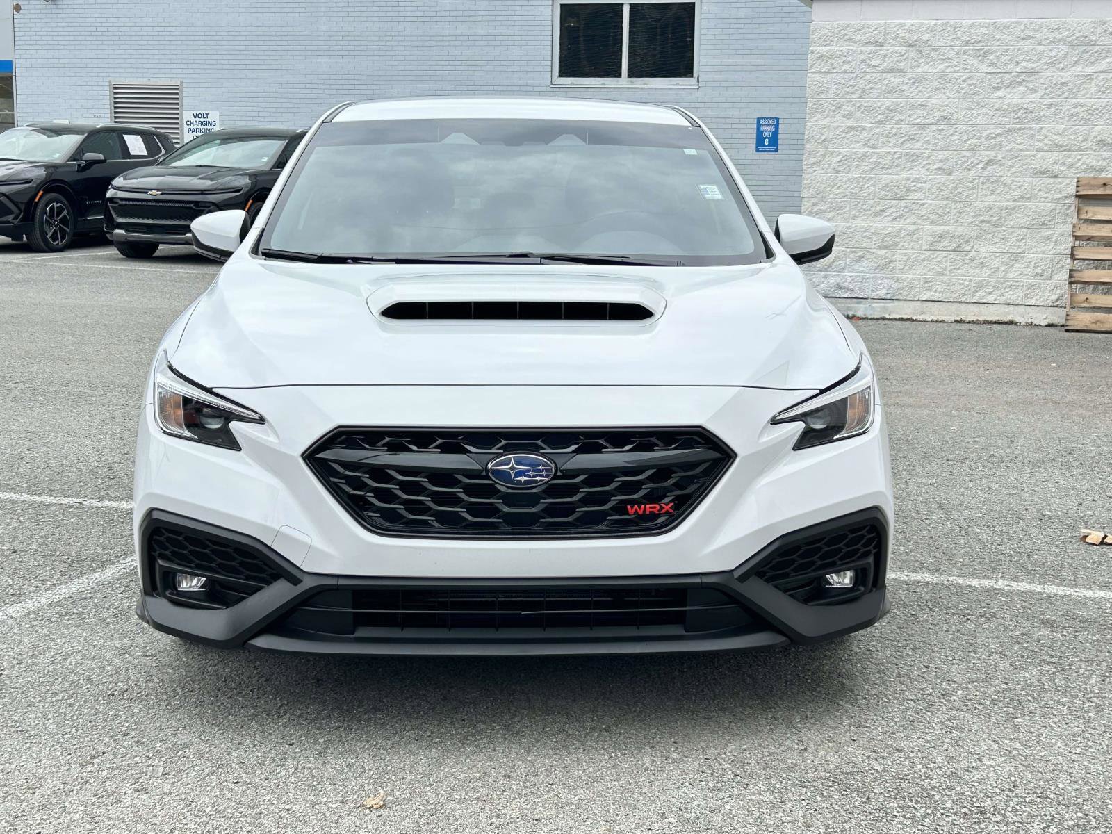 Used 2025 Subaru WRX Premium w/ Popular Package #2A image 8