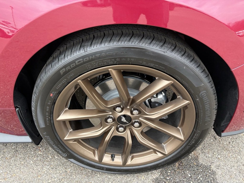 New 2026 Ford Mustang EcoBoost w/ Bronze Appearance Package image 13
